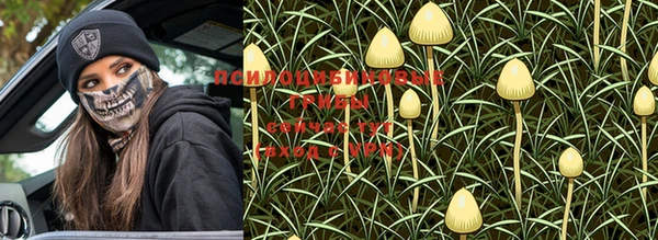 герыч Карпинск