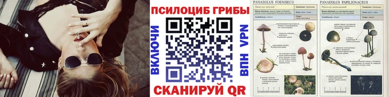 Галлюциногенные грибы прущие грибы  Купить где  Афипский 