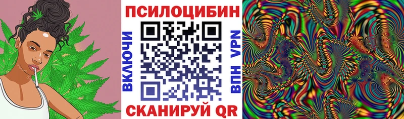 Псилоцибиновые грибы GOLDEN TEACHER Афипский